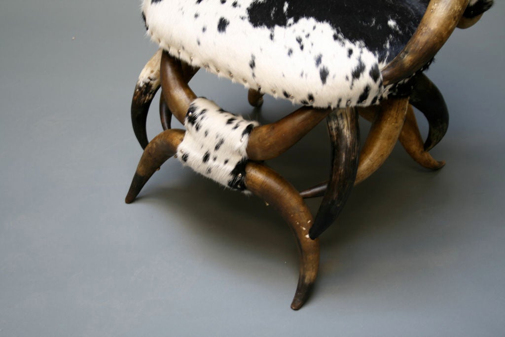 Magnificent Cow Horn Chair 3