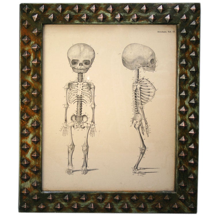 Deformed Skeleton Print