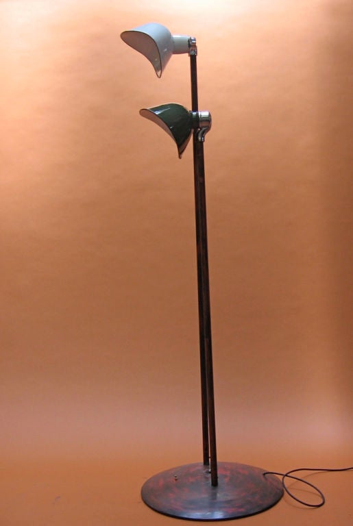 Industrial Floor Lamp with Cobra-Like Heads