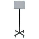 Stellar Union Custom Floor Lamp