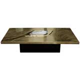 Brass and Agate Coffee Table by Willy Daro