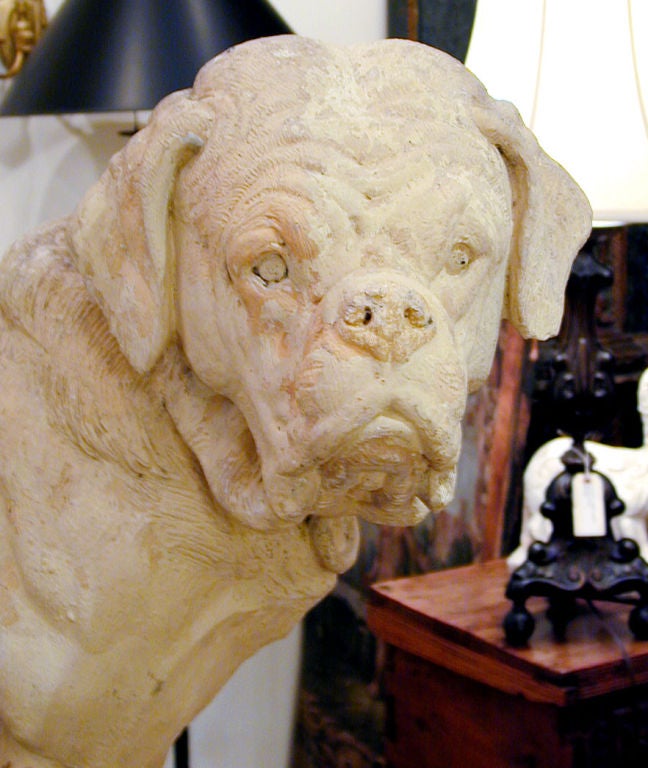 19th Century 19th century Large Scale Dog Sculpture