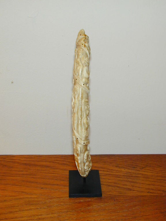 African Ivory 1