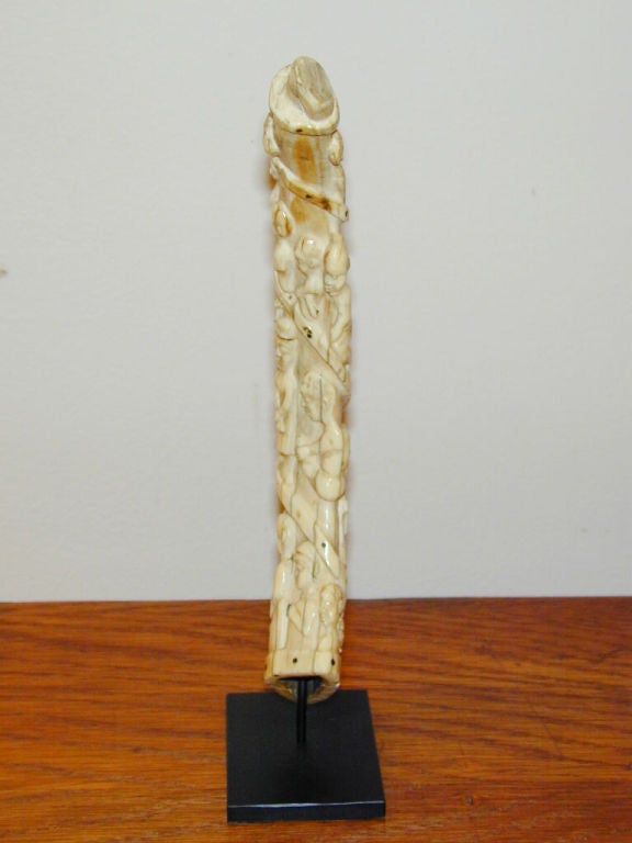African Ivory 2