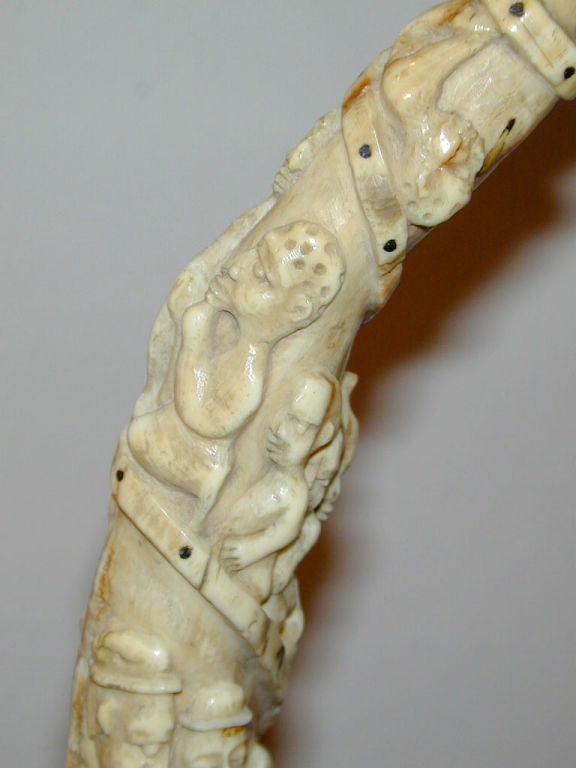 African Ivory 6