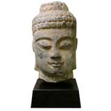 Antique Tang Dynasty Statue Of Buddha Head