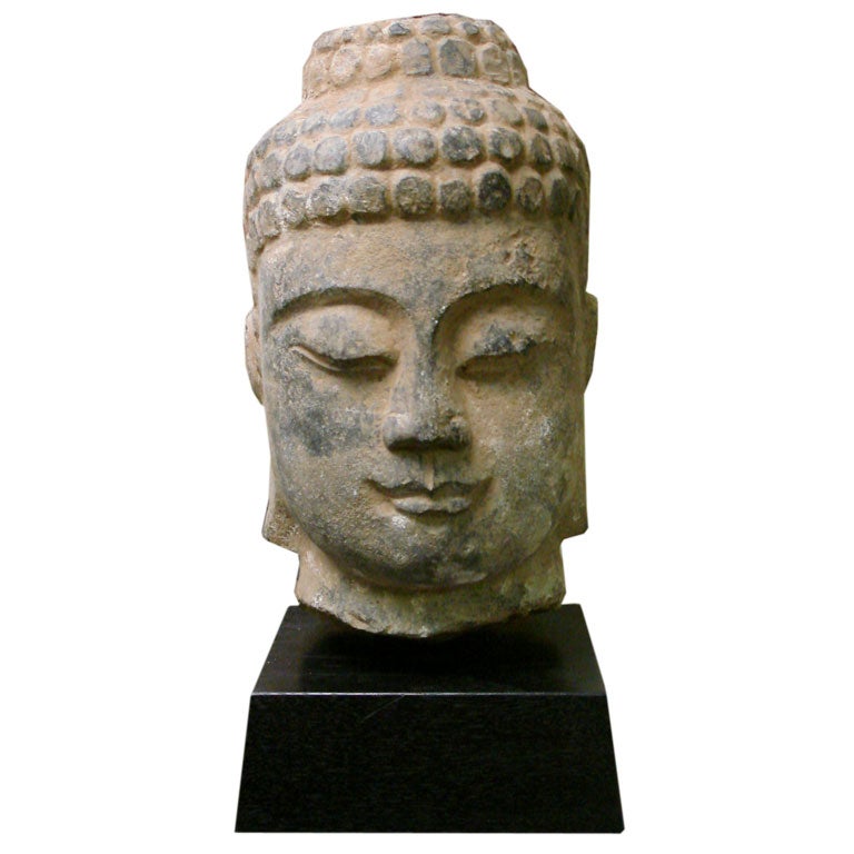 Tang Dynasty Statue Of Buddha Head