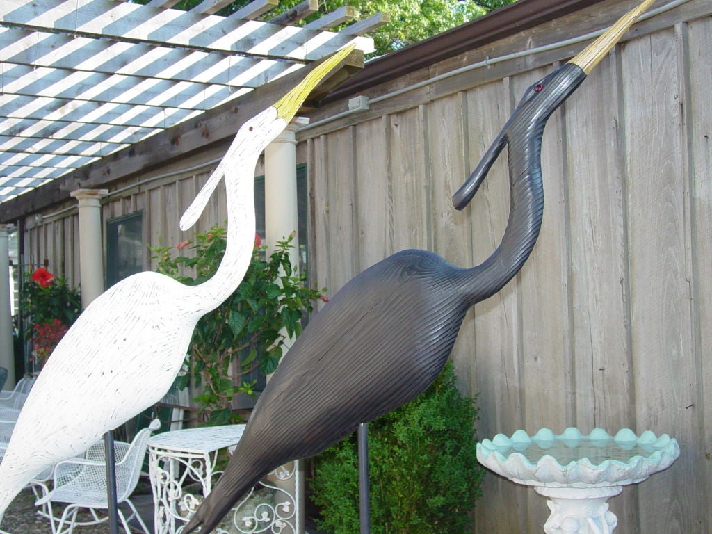 Pair , Large Scale Hand Carved Egrets, Long Island  N.Y, Artist