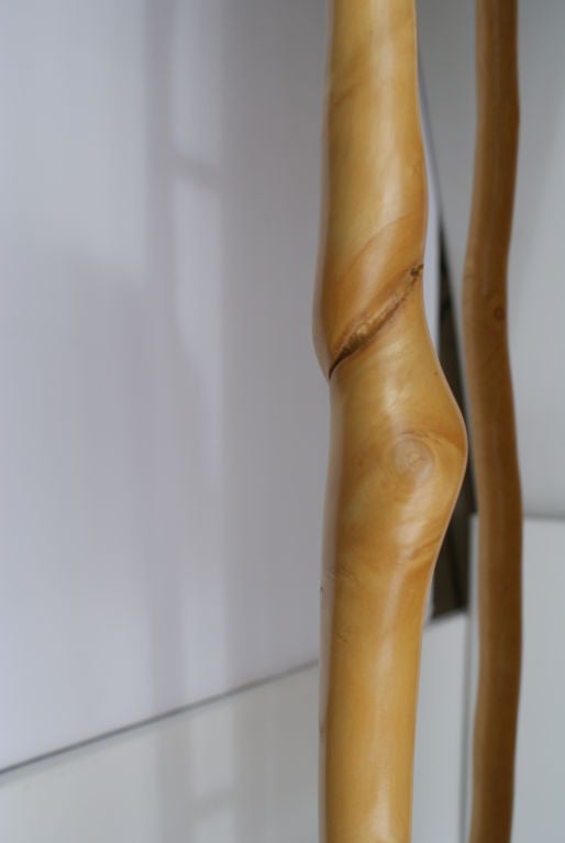 20th Century David Ebner, Vintage Sassafras Wood Twisted Stick Bench.