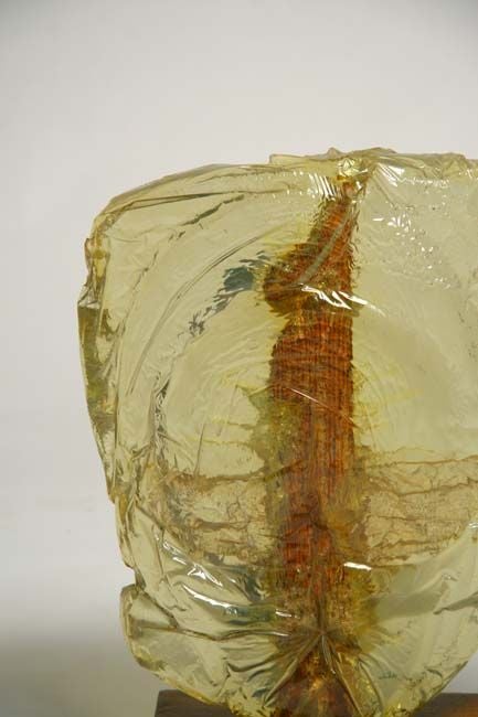 Signed sculptural resin light sculpture with wood base