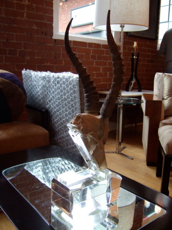 20th Century Lucite and Resin Gazelle Head