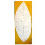 Vintage Untitled (leaf) by Vin Giuliani