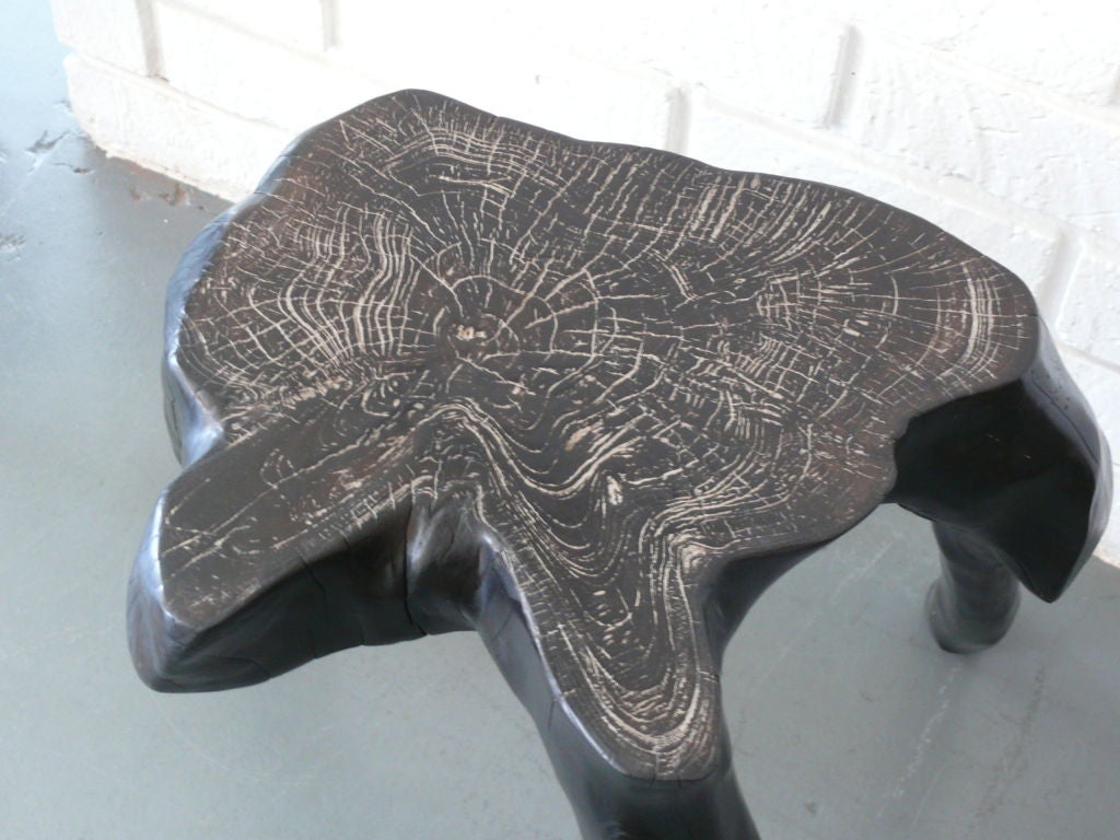 Tree Root 3 Leg Table