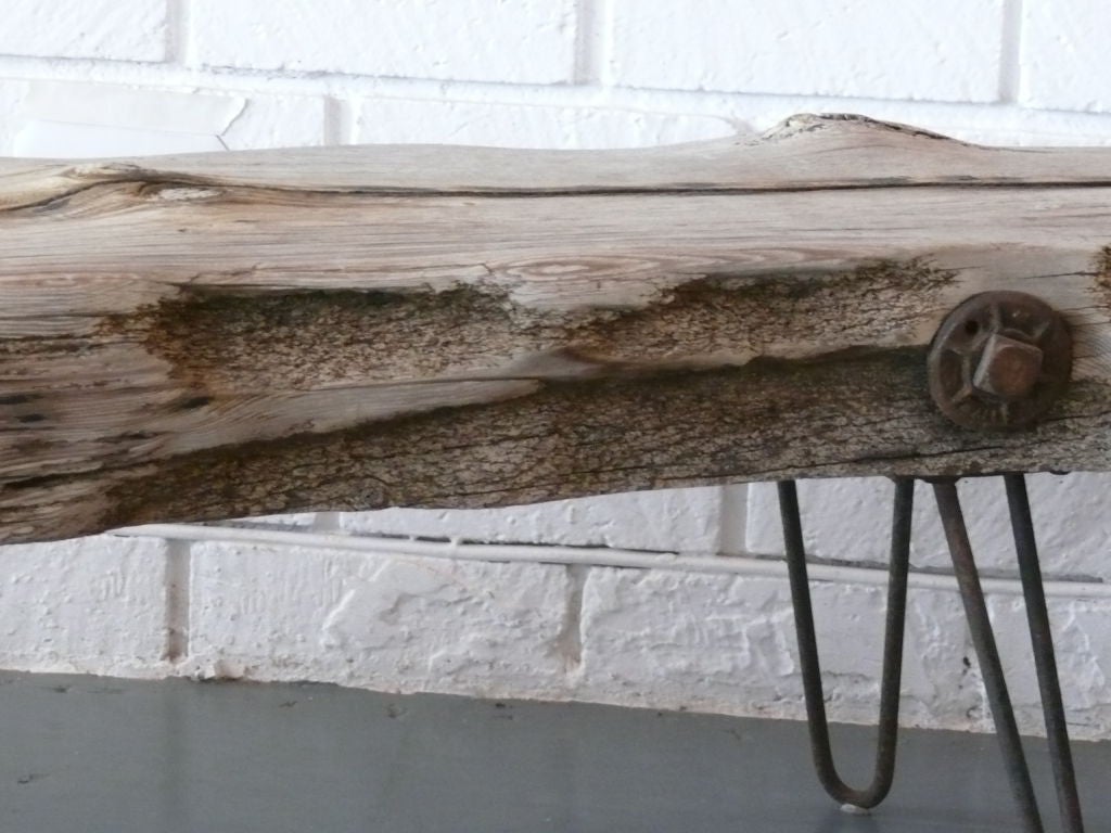 20th Century Floating Driftwood Bench
