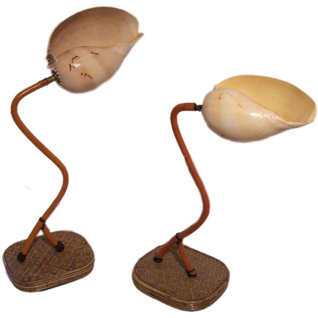 Pair of Shell Lamps For Sale