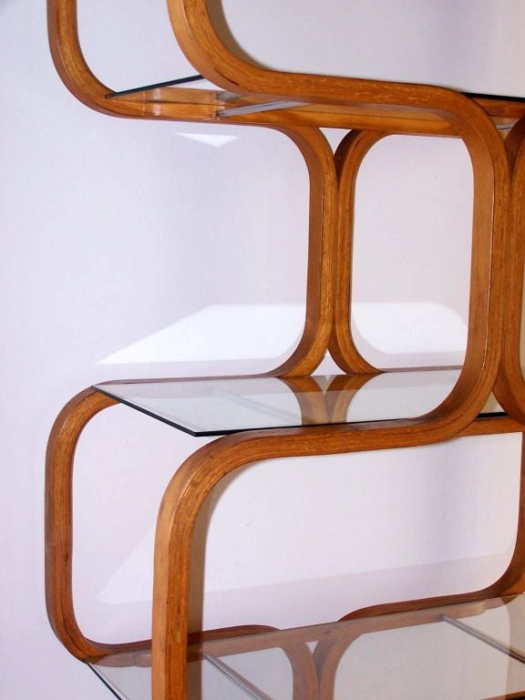 Modernist Shelving Unit 3