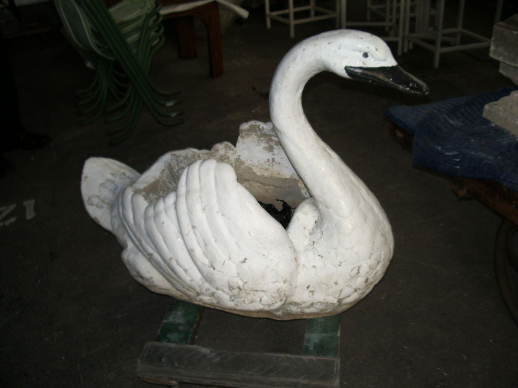 Fabulous large cast stone swan planter with layers of old peeling paint.American ca.1950's. Located in dealers warehouse.