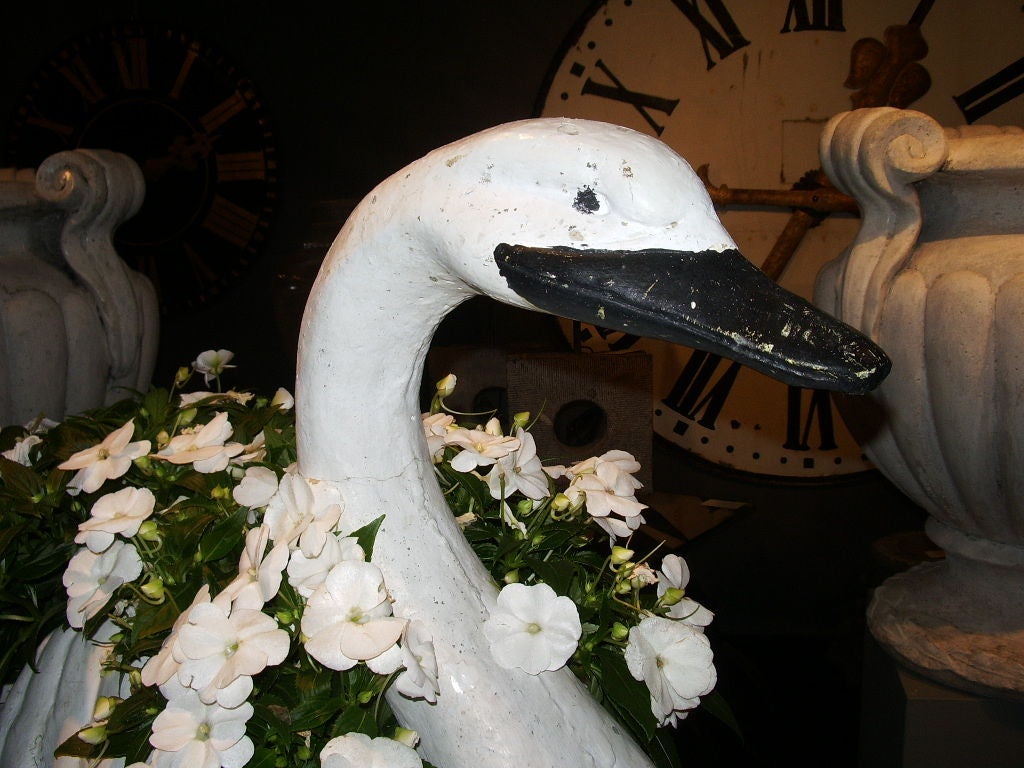 American Large Cast Stone Swan For Sale
