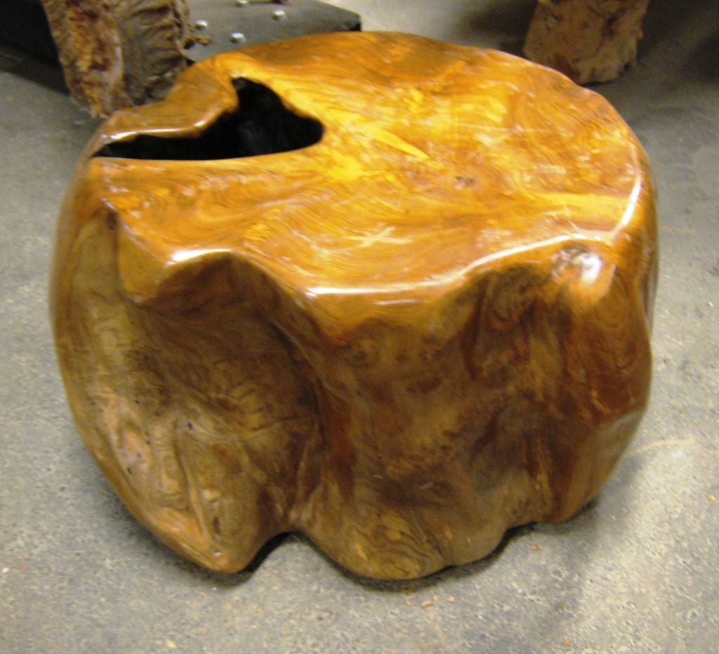 Teak Root Side Table