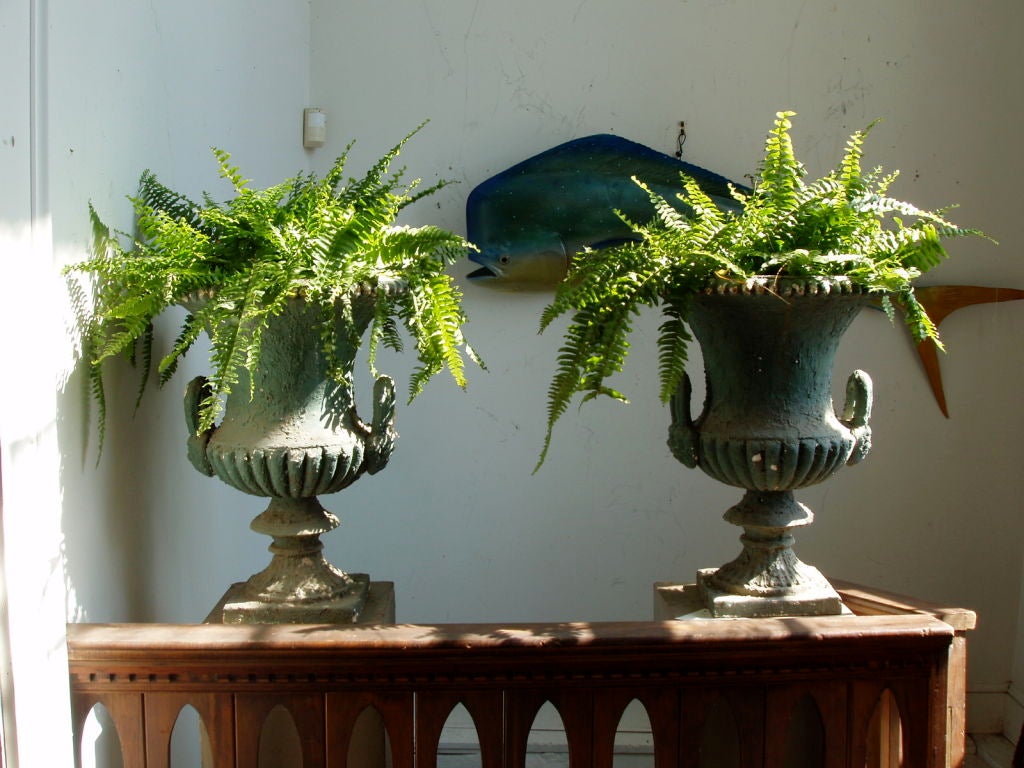 Pair of English 19thC Victorian Iron Urns
