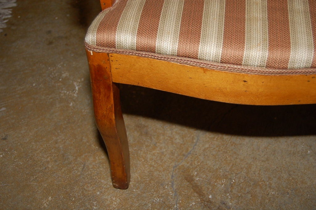 19th Century CLOSING SALE Arm chair, circa 1825 Biedermeier Birch For Sale