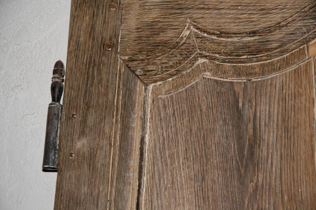 Louis XV Doors Pair of 18th Century Chestnut Armoire Doors