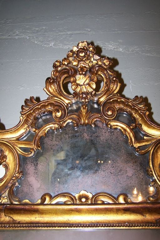 19. Jahrhundert Italienischer Rokoko-Spiegel aus vergoldetem Holz (Geschnitzt) im Angebot