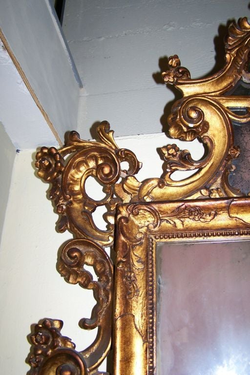 19. Jahrhundert Italienischer Rokoko-Spiegel aus vergoldetem Holz im Angebot 1