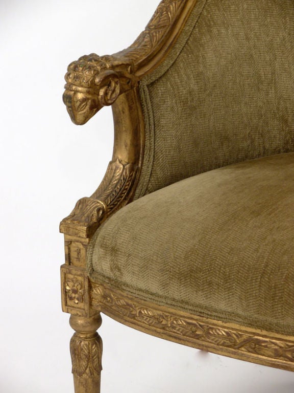 Hollywood Regency bergere style chair. Carved frame with rams head detail and burnished gold paint.
