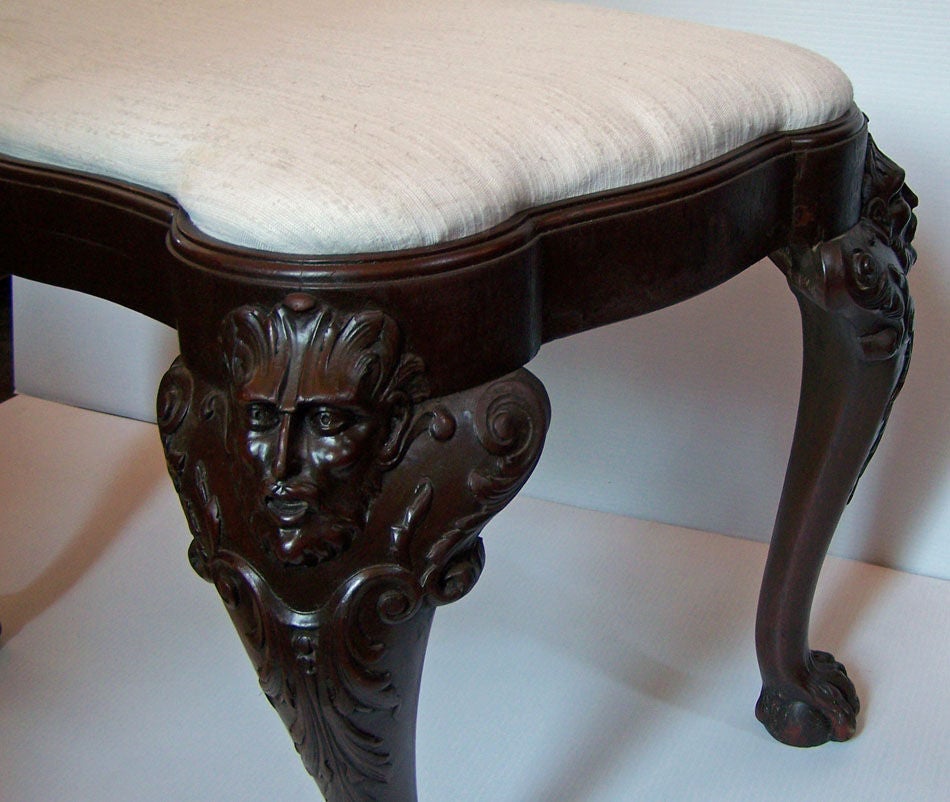Mahogany 18th Century Irish Chippendale Style Footstool/Bench