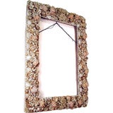 Very Large Seashell and Coral Frame