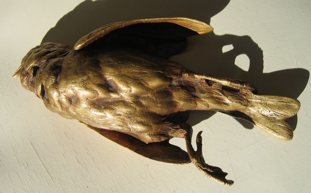 paul comolera bird