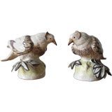 Pair of Ceramic Birds