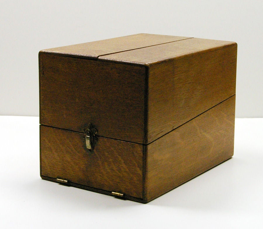 Human Skull in Custom-Fitted Wooden Box 4