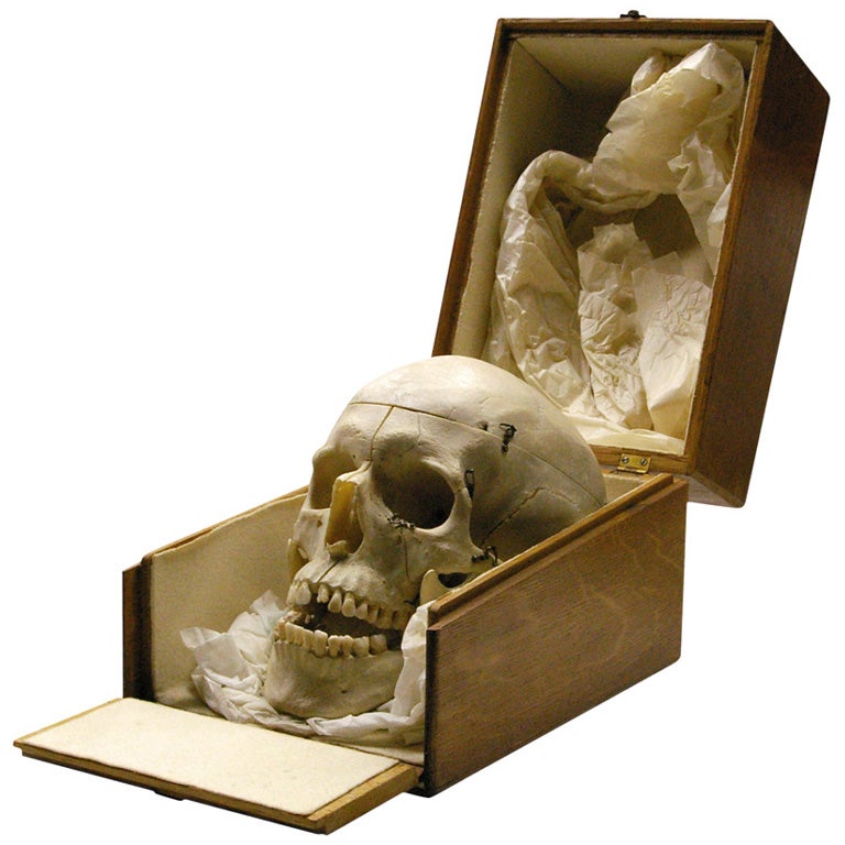 Human Skull in Custom-Fitted Wooden Box