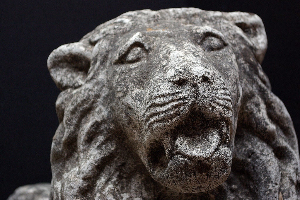 Set of two stone lions