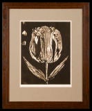 Botanical Series.