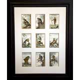 Antique MONKEY prints, collection