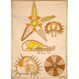 Starfish Anatomy Educational Plate