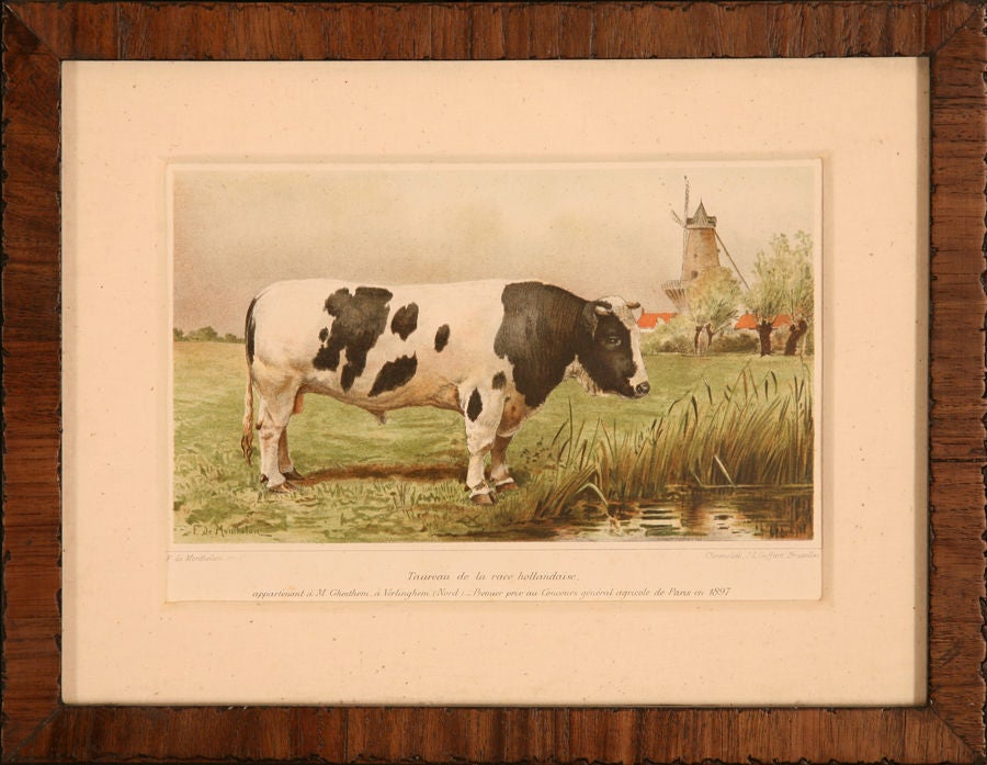 Collection of Cow Prints, France, c. 1890 1