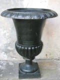 Very Grand Pair of Cast Iron Garden Urns