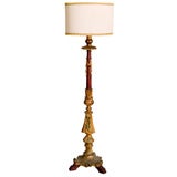 French Chinoiserie Floor Lamp