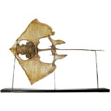 Skeleton of a Ray