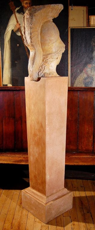 Plaster Bust of Minerva For Sale 2