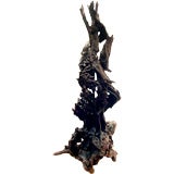 Antique Very Sculptural Monumental Piece Of Driftwood