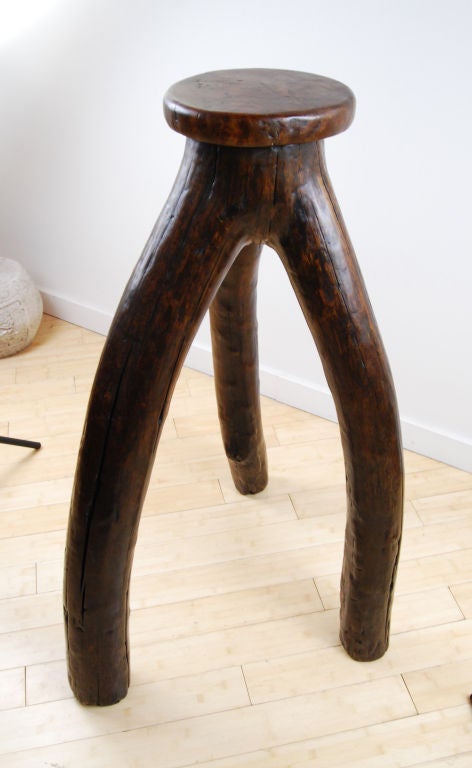 Root Pedestal