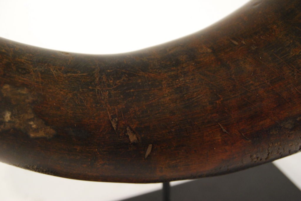 Tibetan Powder Horn 1
