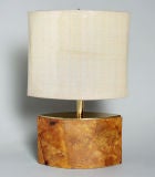 Interesting Eliptical Desk Lamp