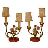 Pair of bakelite base vanity/ dressing lamps