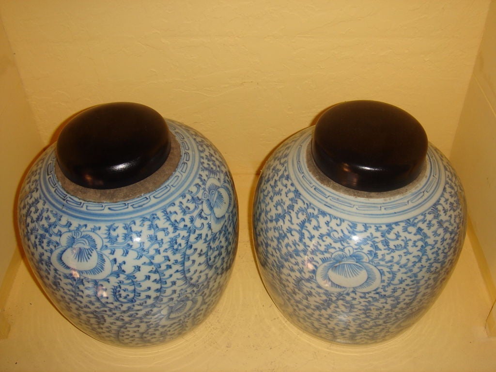 Pair of Chinese Blue and white Ginger jars with lid